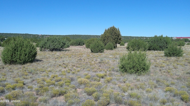 20 Cr Rd, Concho AZ, 85924 land for sale