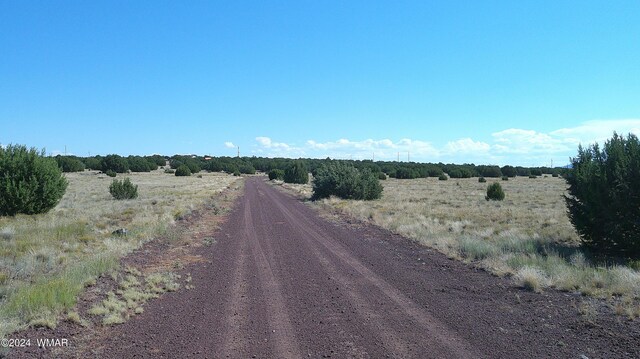 20 Cr Rd, Concho, AZ 85924 - photo 14