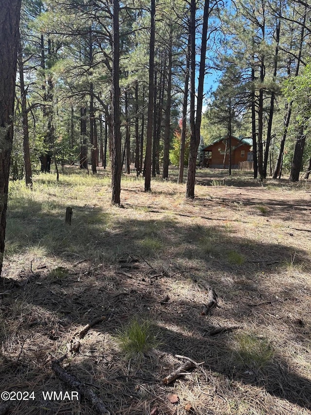 Listing photo 3 for TBD S Pine Meadow Ln, Pinetop AZ 85935