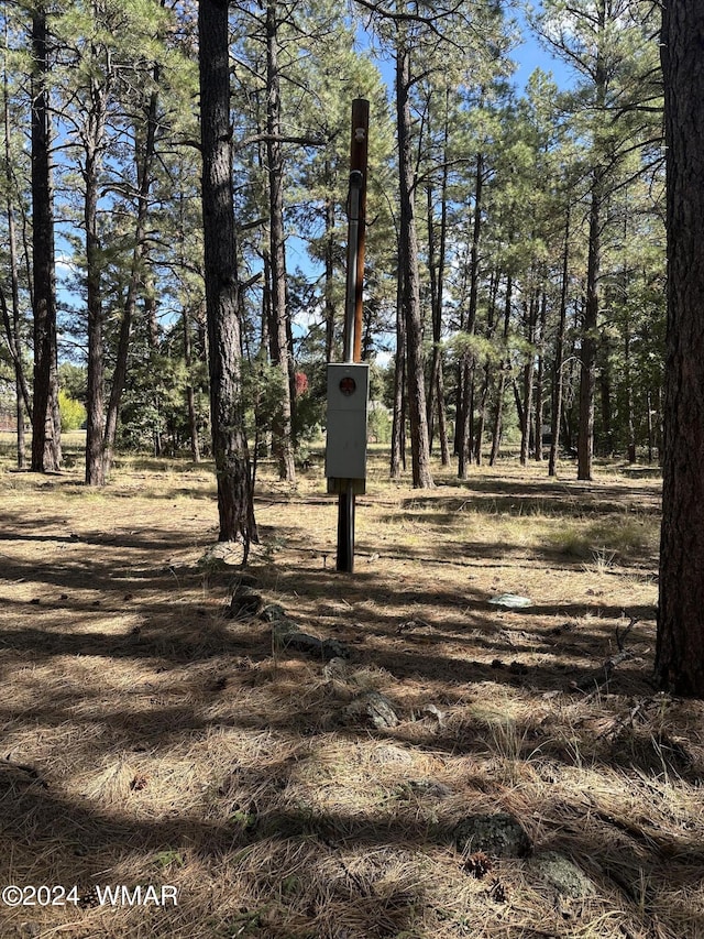 Listing photo 2 for TBD S Pine Meadow Ln, Pinetop AZ 85935