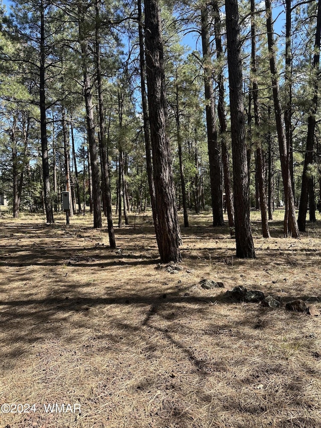 TBD S Pine Meadow Ln, Pinetop AZ, 85935 land for sale