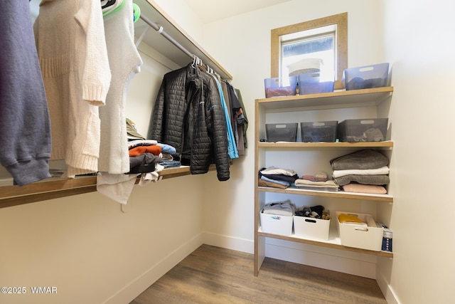 walk in closet featuring wood finished floors