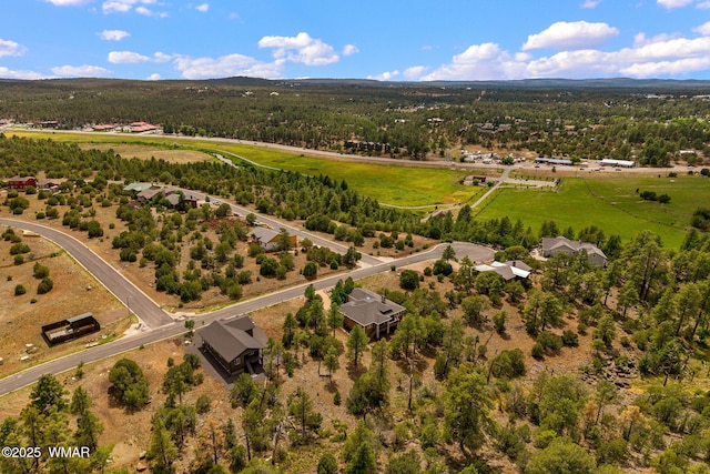 2040 E Bluff Ridge Rd, Show Low, AZ 85901 - photo 41