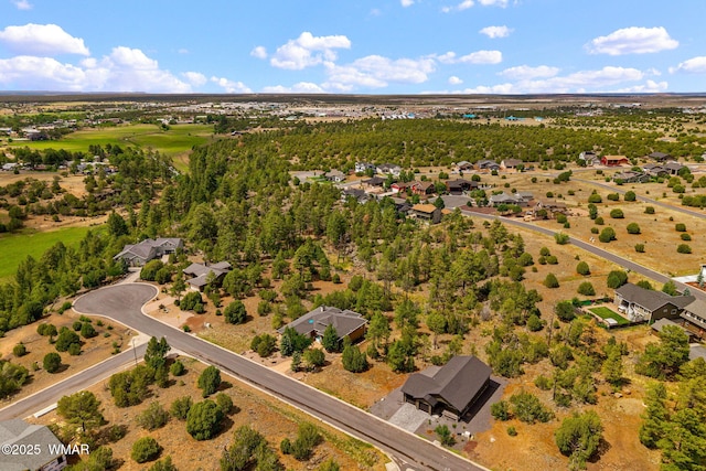 2040 E Bluff Ridge Rd, Show Low, AZ 85901 - photo 40