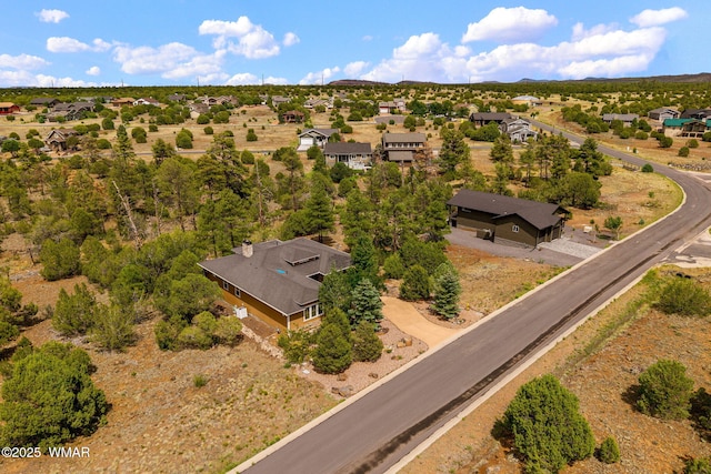 2040 E Bluff Ridge Rd, Show Low, AZ 85901 - photo 38