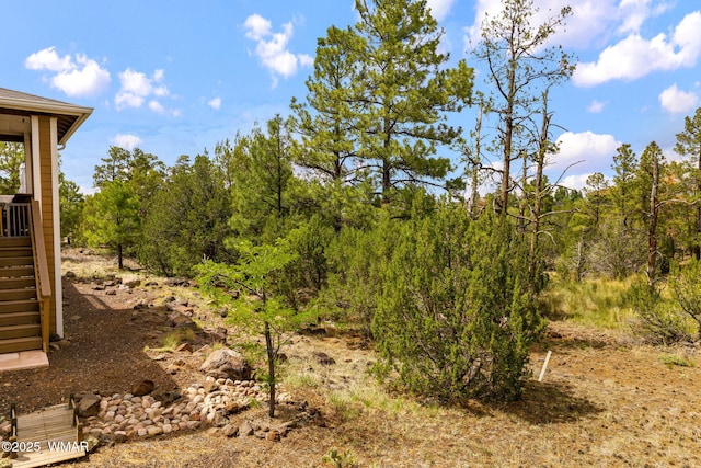 2040 E Bluff Ridge Rd, Show Low, AZ 85901 - photo 33
