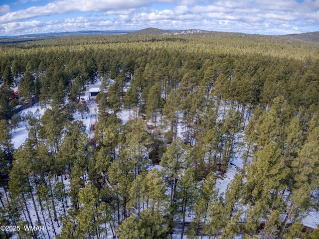 bird's eye view featuring a mountain view and a wooded view