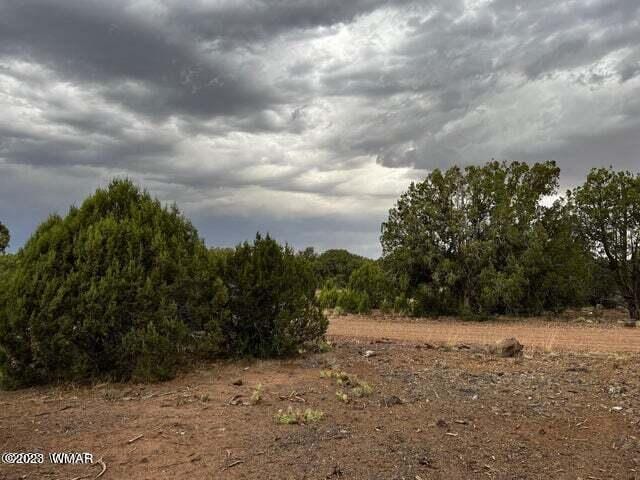 Listing photo 2 for 3845 Apache Rd, Snowflake AZ 85937