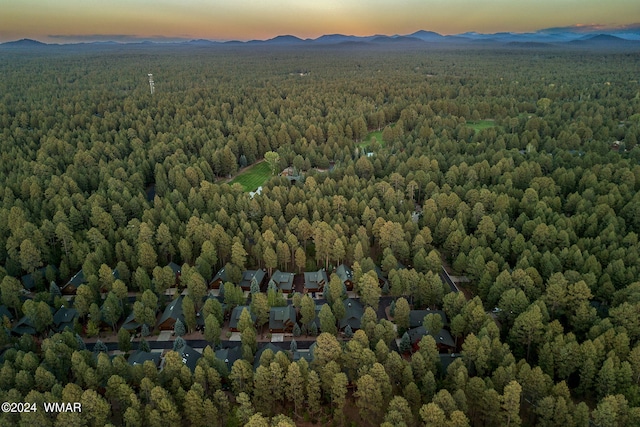 aerial view with a mountain view and a view of trees