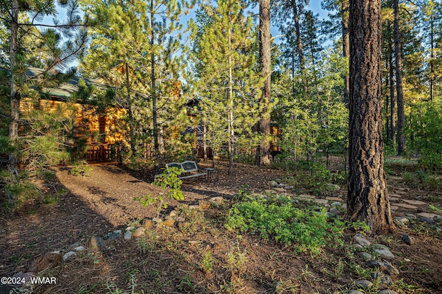 view of yard with a wooded view