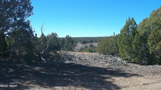 8285 Ridge Dr, Show Low AZ, 85901 land for sale