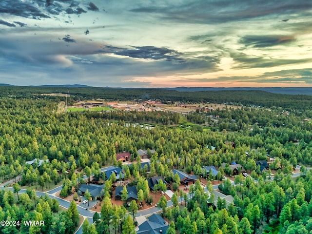 aerial view at dusk with a forest view