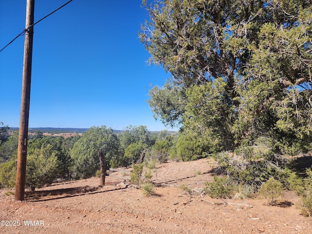 TBD State Route 260, Clay Springs, AZ 85923 - photo 8