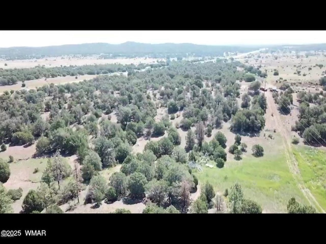 TBD State Route 260, Clay Springs, AZ 85923 - photo 6