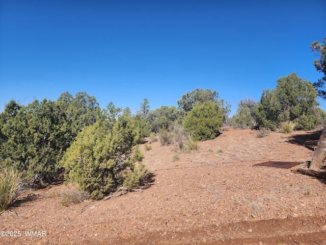 TBD State Route 260, Clay Springs, AZ 85923 - photo 26