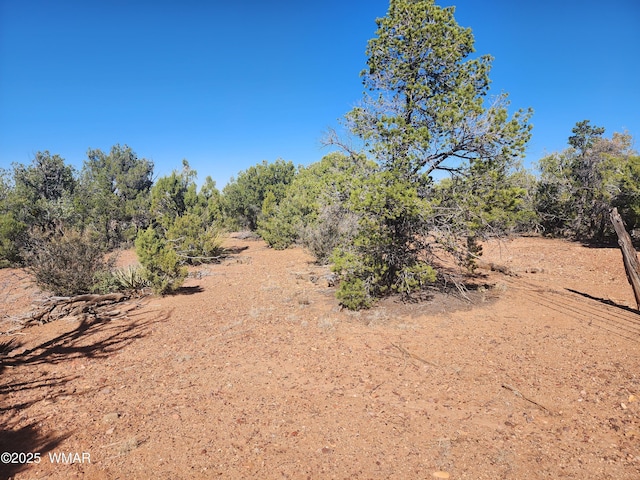 TBD State Route 260, Clay Springs, AZ 85923 - photo 23