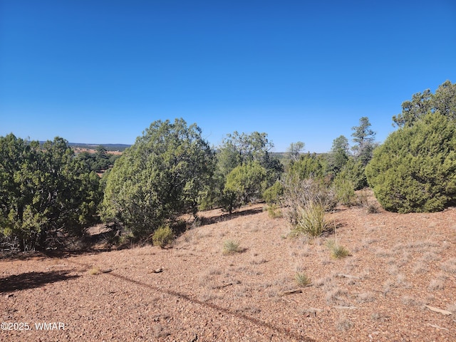 TBD State Route 260, Clay Springs, AZ 85923 - photo 27
