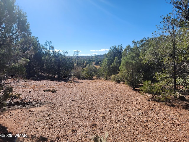 TBD State Route 260, Clay Springs, AZ 85923 - photo 20