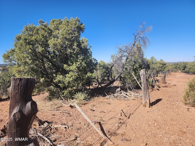 TBD State Route 260, Clay Springs, AZ 85923 - photo 15