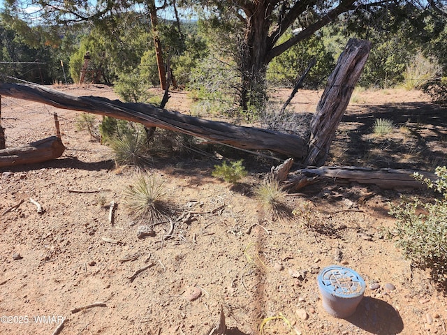 TBD State Route 260, Clay Springs, AZ 85923 - photo 13