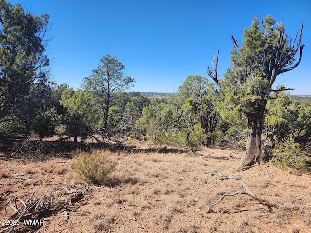 TBD State Route 260, Clay Springs, AZ 85923 - photo 18