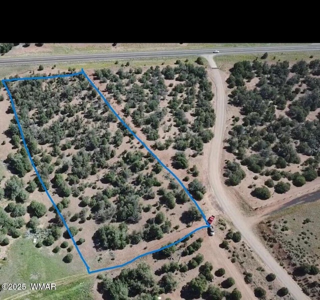 TBD State Route 260, Clay Springs, AZ 85923 - photo 4