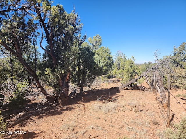 TBD State Route 260, Clay Springs, AZ 85923 - photo 16