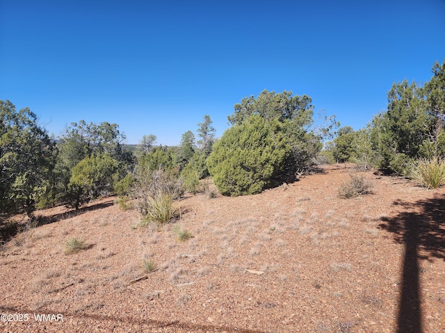 TBD State Route 260, Clay Springs, AZ 85923 - photo 28