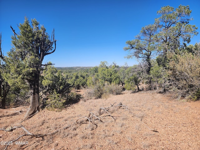 TBD State Route 260, Clay Springs, AZ 85923 - photo 19