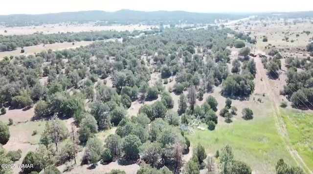 TBD State Route 260, Clay Springs, AZ 85923 - photo 2