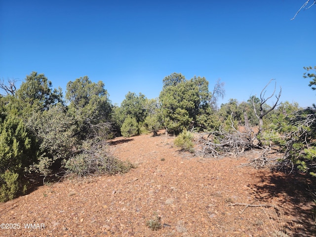 TBD State Route 260, Clay Springs, AZ 85923 - photo 25