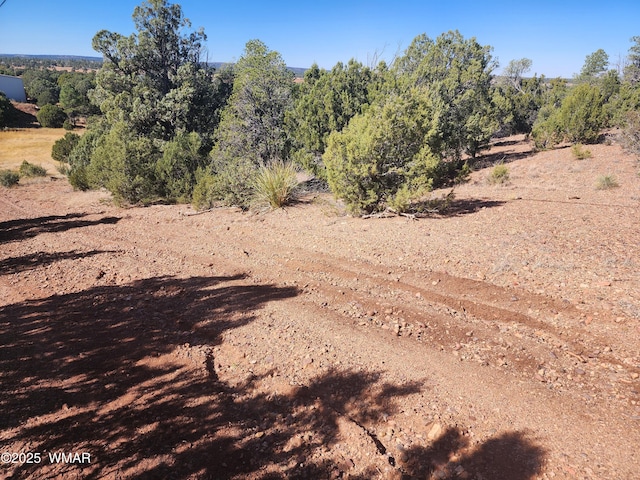 TBD State Route 260, Clay Springs, AZ 85923 - photo 11
