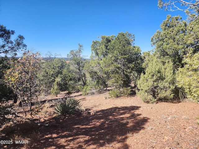 TBD State Route 260, Clay Springs, AZ 85923 - photo 24