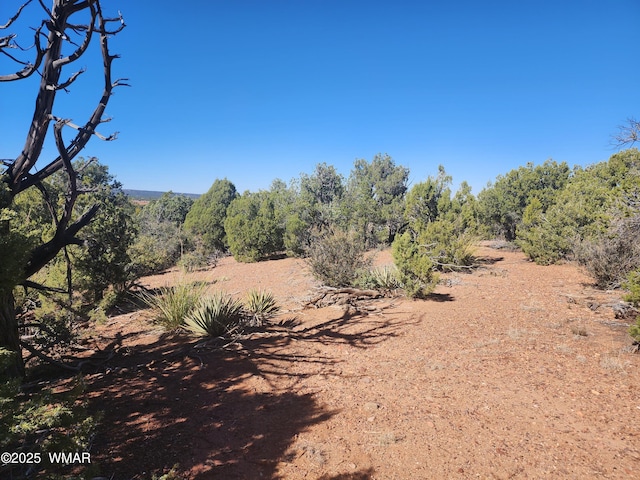 TBD State Route 260, Clay Springs, AZ 85923 - photo 22