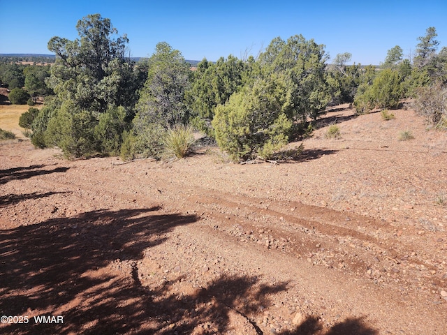 TBD State Route 260, Clay Springs, AZ 85923 - photo 10