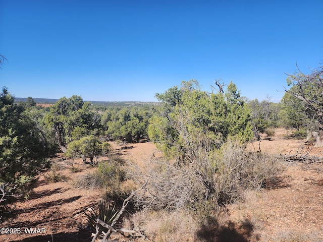 TBD State Route 260, Clay Springs, AZ 85923 - photo 17