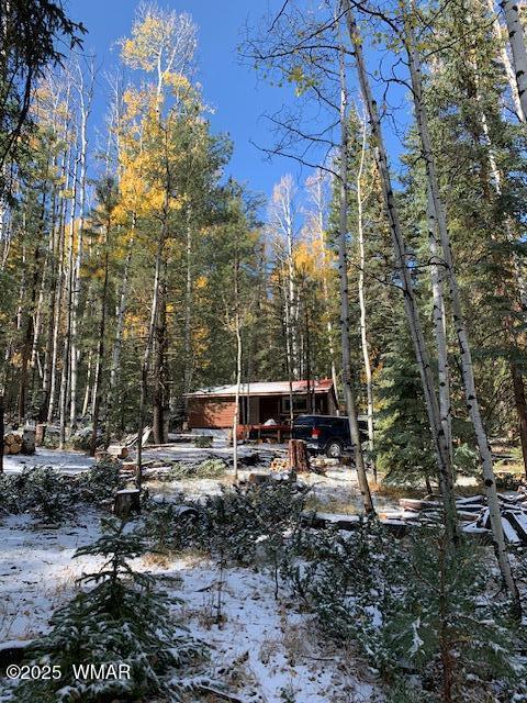 8 County Road 1006, Greer, AZ 85927 - photo 21