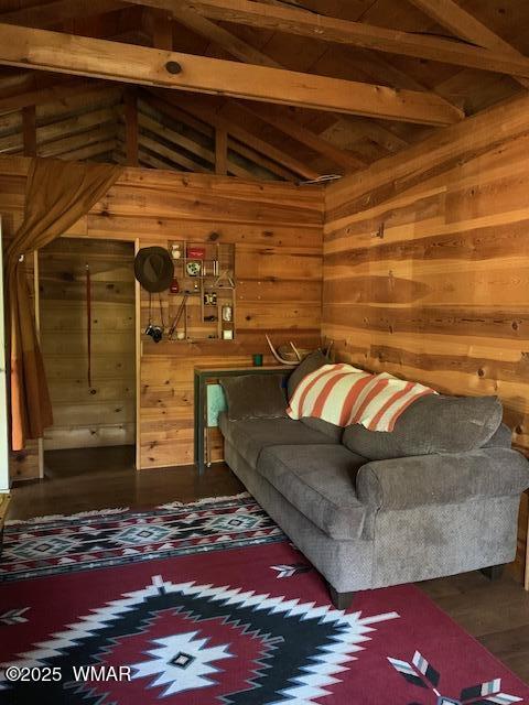 8 County Road 1006, Greer, AZ 85927 - photo 16