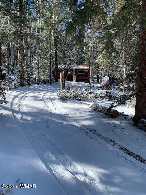8 County Road 1006, Greer, AZ 85927 - photo 20
