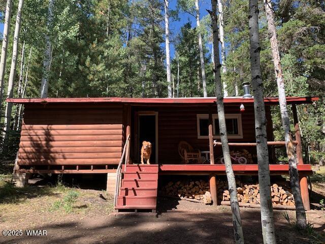 8 County Road 1006, Greer, AZ 85927 - photo 9