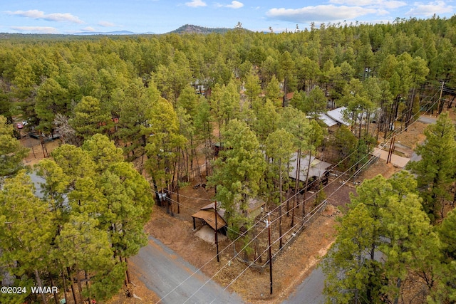 birds eye view of property featuring a wooded view