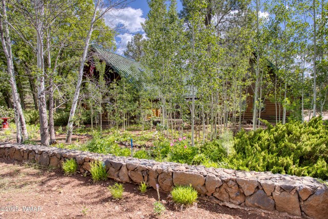5175 Black Panther Loop, Pinetop, AZ 85935 - photo 31