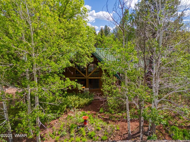 5175 Black Panther Loop, Pinetop, AZ 85935 - photo 14