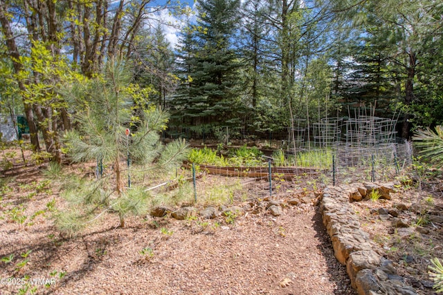 5175 Black Panther Loop, Pinetop, AZ 85935 - photo 40