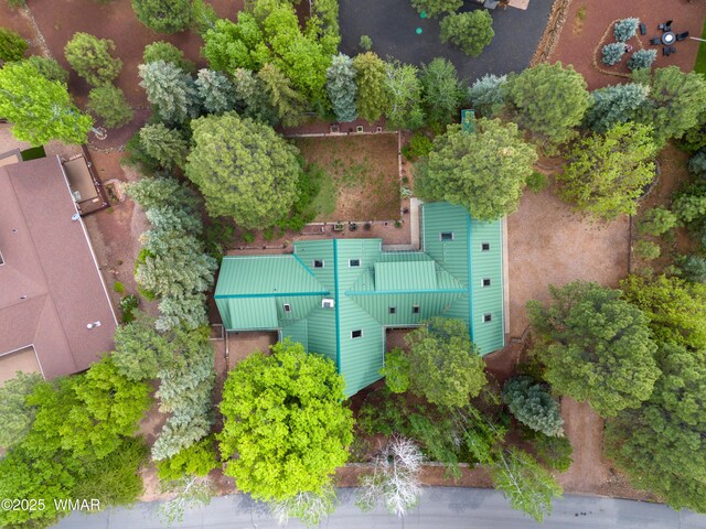 5175 Black Panther Loop, Pinetop, AZ 85935 - photo 10