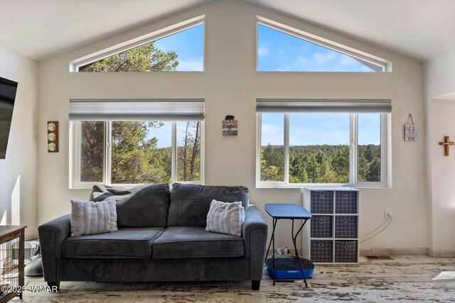 2331 W Rogers Loop, Show Low, AZ 85901 - living room featuring baseboards and lofted ceiling