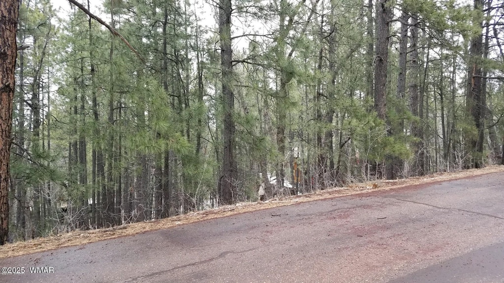6166 Paradise Pine Ln, Pinetop, AZ 85935 - photo 1