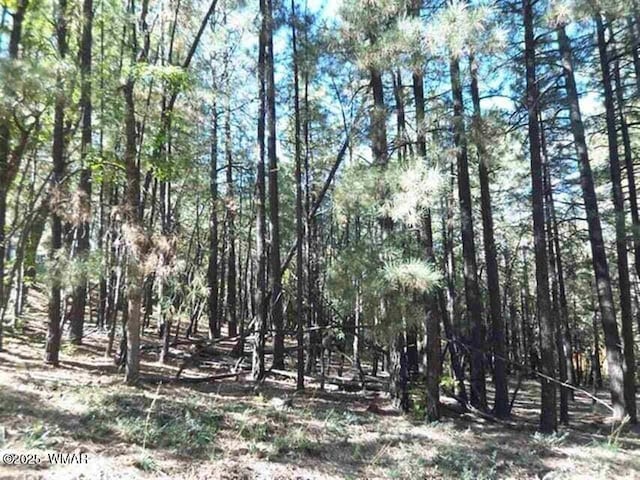 6166 Paradise Pine Ln, Pinetop, AZ 85935 - photo 2