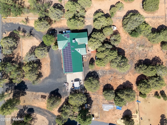 6690 Circle C Ln, Show Low, AZ 85901 - view of property location