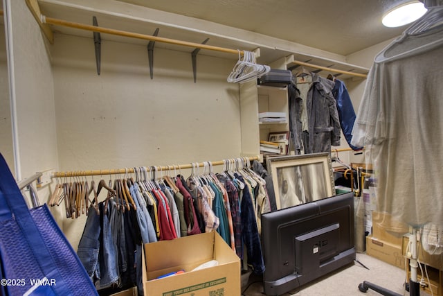 6690 Circle C Ln, Show Low, AZ 85901 - walk in closet with carpet flooring
